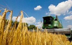 Экспорт агропродуктов