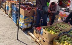 Рынок в Украине, "красная" зона карантина, торговля посадочным материалом и работа химчисток