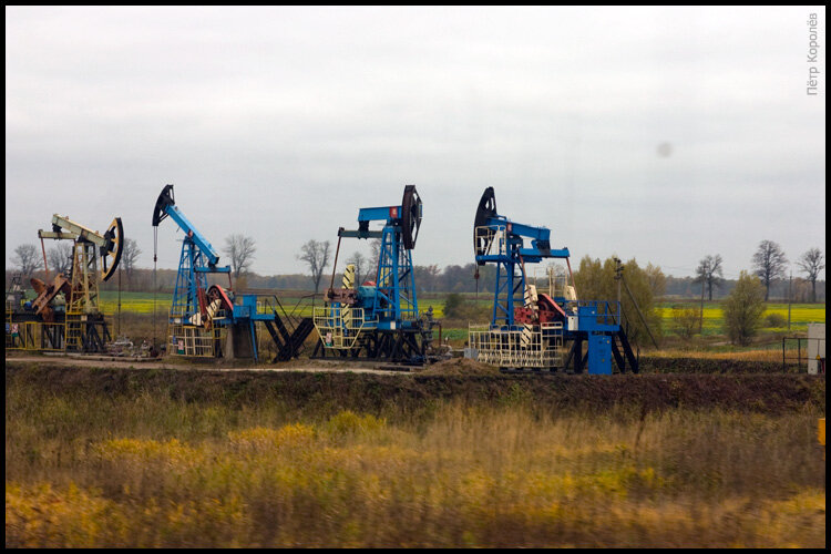 Нефть в Калининграде