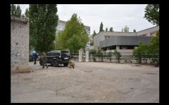 vzryivchatka-zhvavyiy