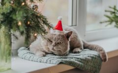 Прогноз погоды в Украине