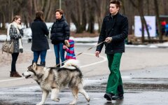 Прогноз погоды в Украине / Фото: Delfi