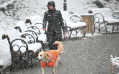 Прогноз погоды в Украине / Фото: Reuters