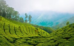 indiya