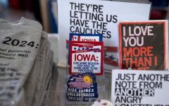 Партийные выборы в США