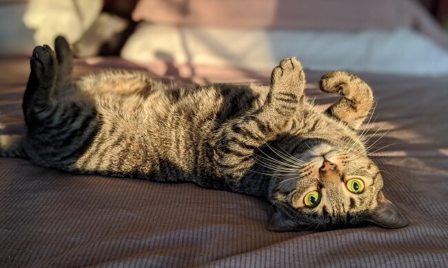 Прогноз погоды в Украине / Фото: Unsplash