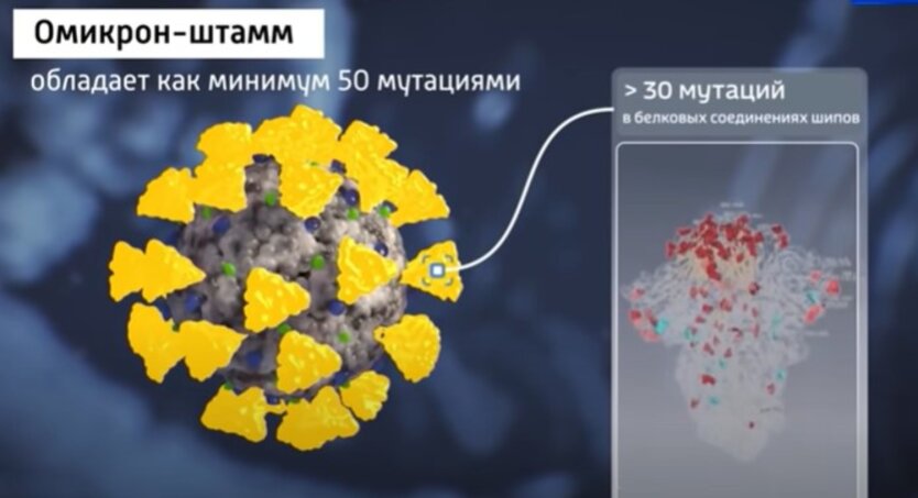 Коронавирус в Украине, рост заболеваемости, прогноз Минздрава, Омикрон