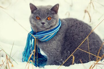 Прогноз погоди в Україні