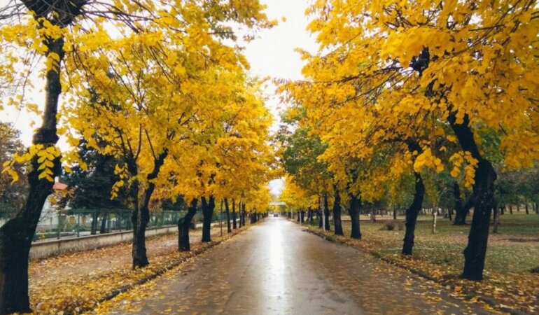 Прогноз погоды в Украине / Фото: Reuters