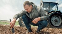 Бесплатный земельный участок для украинцев