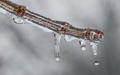 Прогноз погоди в Україні / Фото: Pixabay