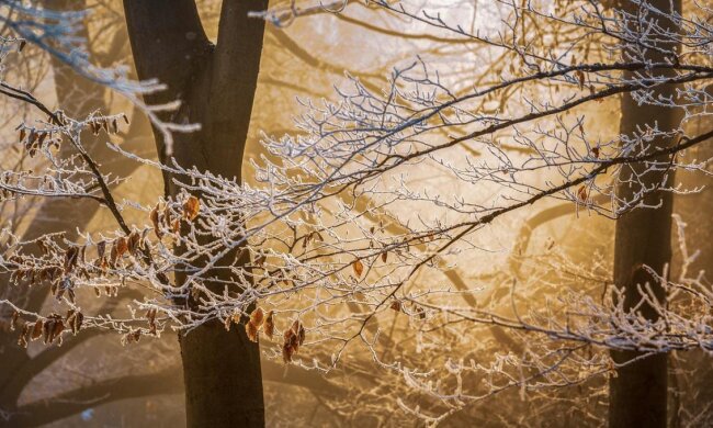 Прогноз погоди в Україні / Фото: pixabay.com