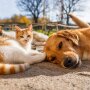 Прогноз погоды в Украине / Фото: Shutterstock/Fotodom