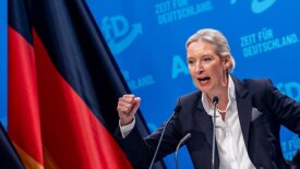 Альтернатива для Германии