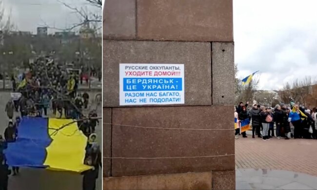 Бердянск, митинг против россии