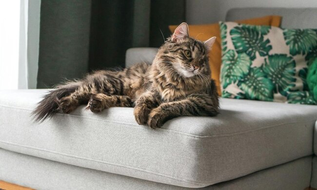 Прогноз погоды в Украине / Фото: Unsplash