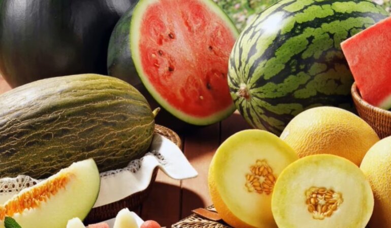 Ціни на кавуни та дині