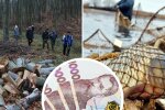 В Украине увеличили штрафы за вред природе: некоторые выросли в 28 раз