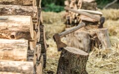 Ціни на дрова / Фото Фріпік