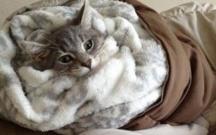 Прогноз погоды в Украине