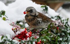 Прогноз погоды в Украине / Фото: Pixabay