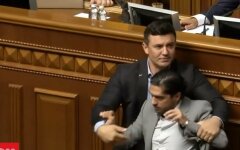 Гео Лерос и Николай Тищенко, драка в Раде, наказание