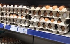Цены на яйца, сыр, масло сливочное, цены на продукты в Украине