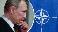 Путін та НАТО