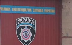 сизо