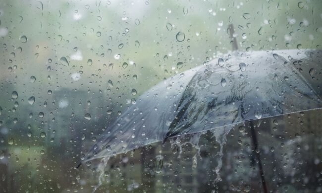 Дождь, зонт