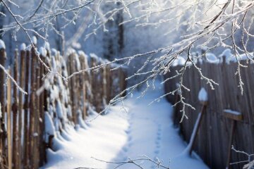 Прогноз погоды в Украине / Коллаж 24 Канала