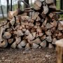 Заготівля дров в Україні