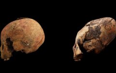 черепа китай