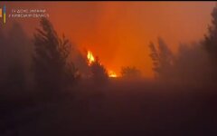 Пожар в лесу под Чернобылем