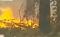 Пожар в лесу, Киев, костер