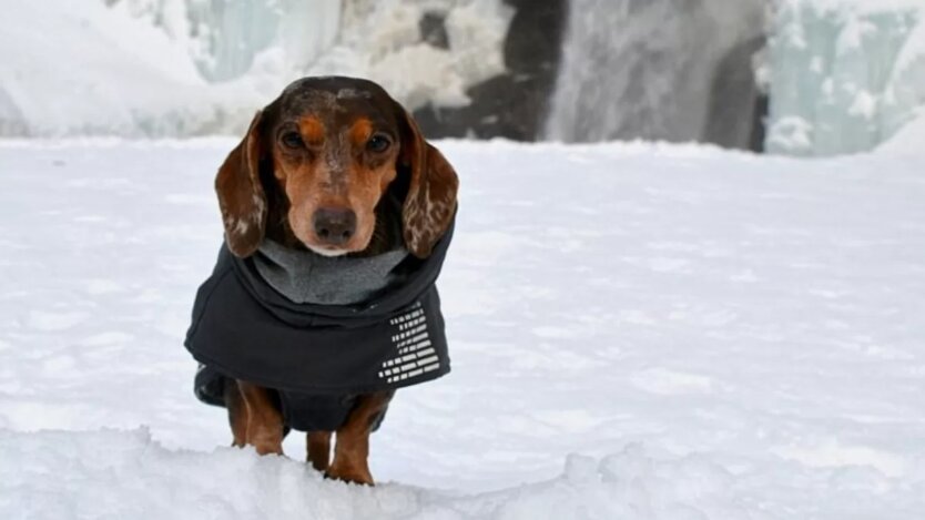 Прогноз погоды в Украине / Фото youdidwhatwithyourweiner.com