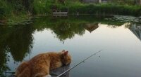Прогноз погоди в Україні