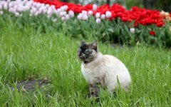 Прогноз погоды в Украине / Фото: УНИАН