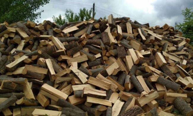 Бесплатные дрова для украинцев