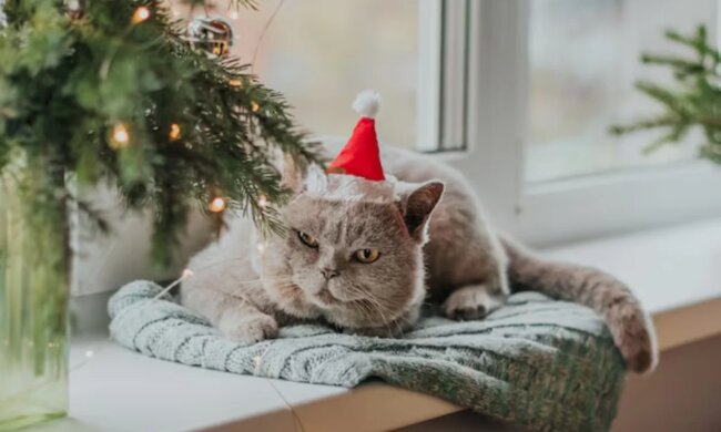 Прогноз погоды в Украине