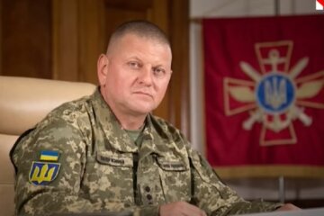 Валерий Залужный, потери украинских войск, война россии против Украины