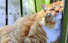 Прогноз погоди в Україні