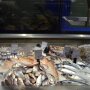 Цены на рыбу