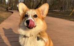 Прогноз погоди в Україні