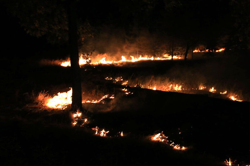 лес пожар обстрел