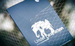 Мюнхенская конференция-2026