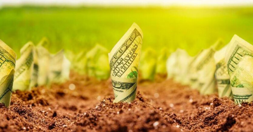 Ринок землі в Україні