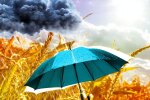 Погода в Україні