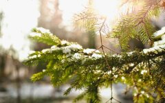 Прогноз погоды в Украине / Фото: Unsplash