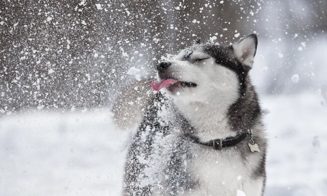 Прогноз погоды в Украине / Фото Shutterstock